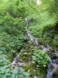 I really like springs and flows of water!