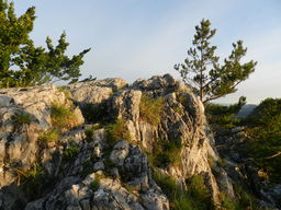 The rocky peak of Jungfernsprung, the sun was already up.